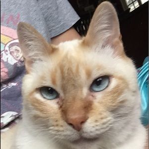 Meet your Posher, Connie